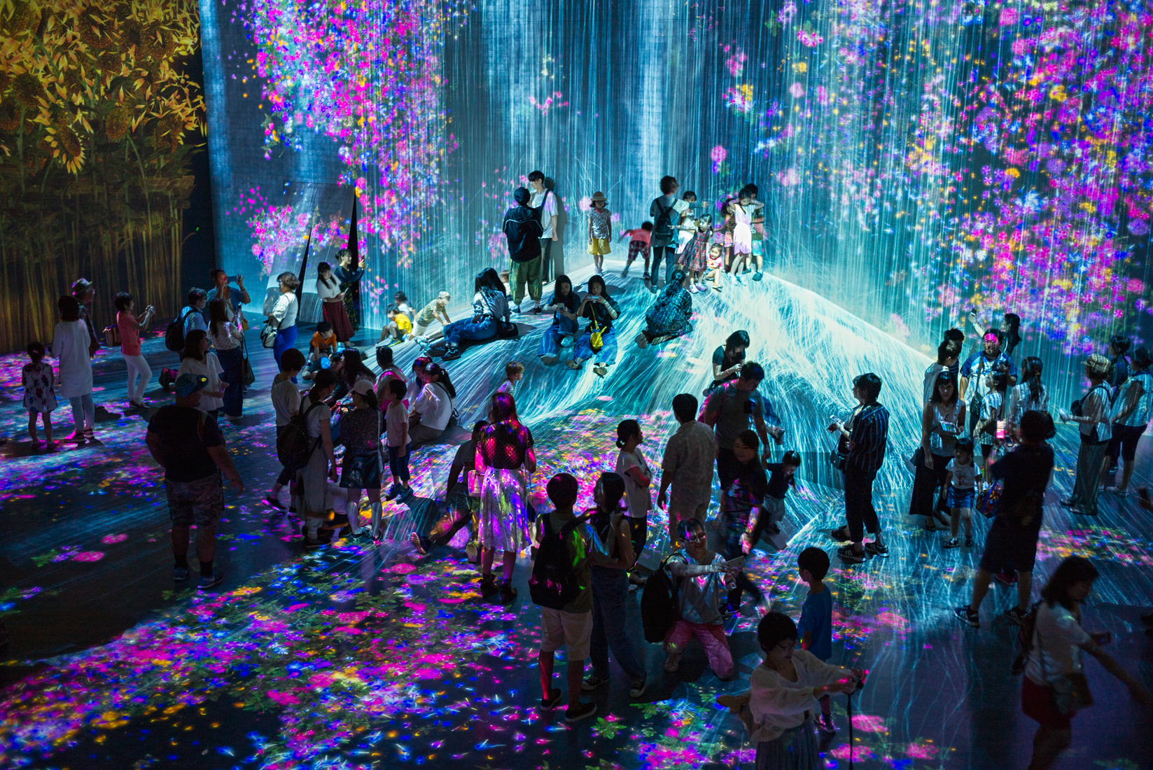 TeamLab, Borderless