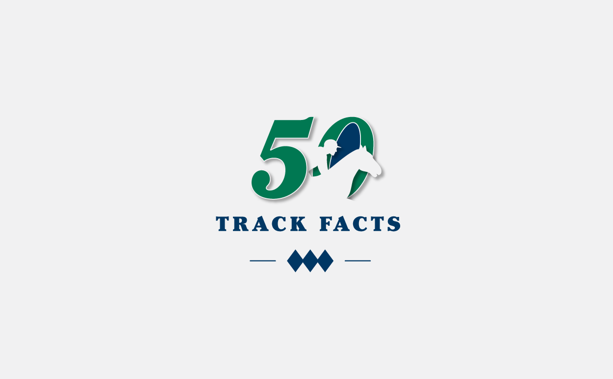 Fact Logo concept on a Transparent Background 33983065 PNG