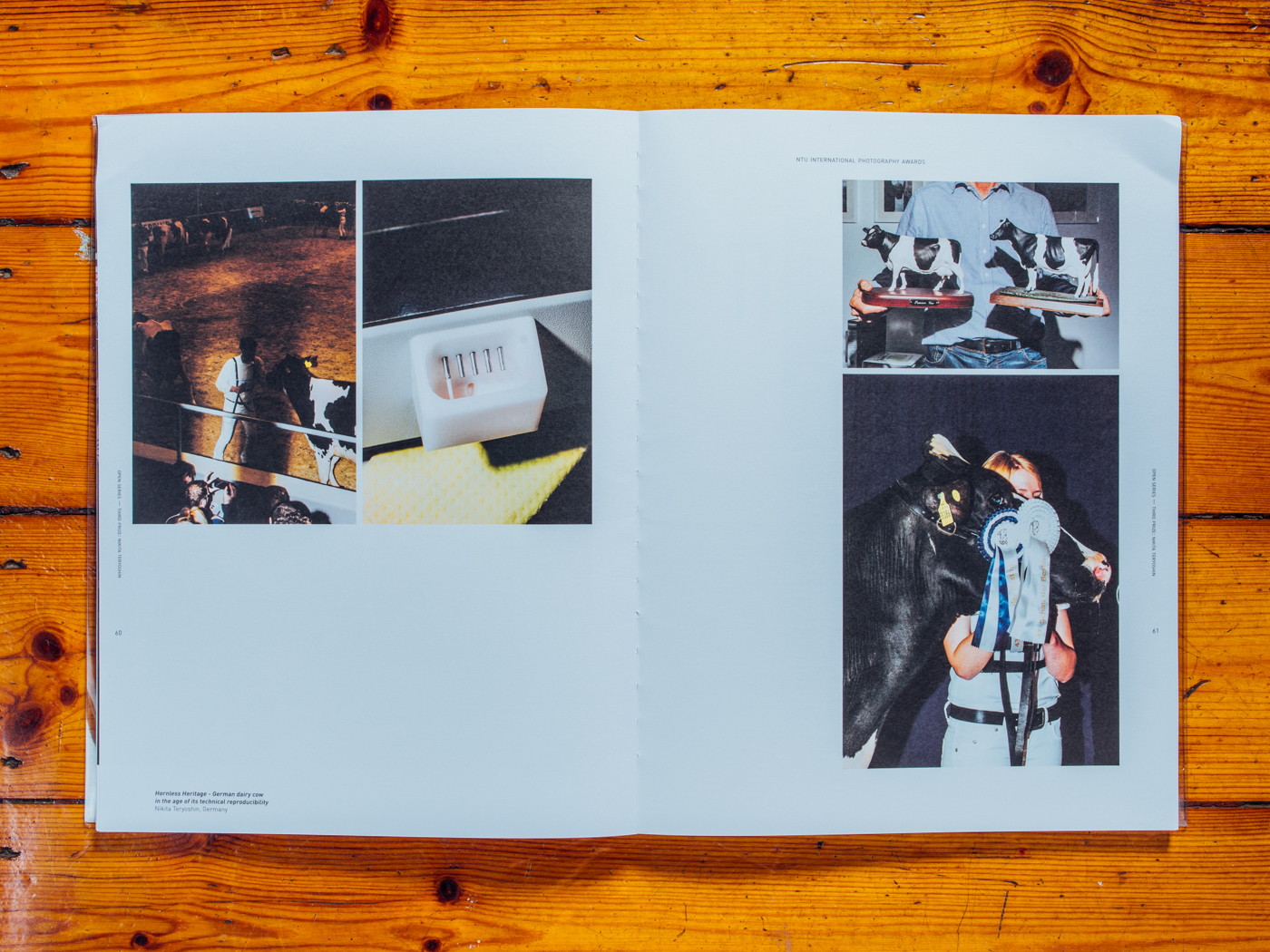 NTU Internation Photography Award, Singapore 2017 / Ausstellungskatalog 3. Platz Dokumentarfotografie / Januar 2018