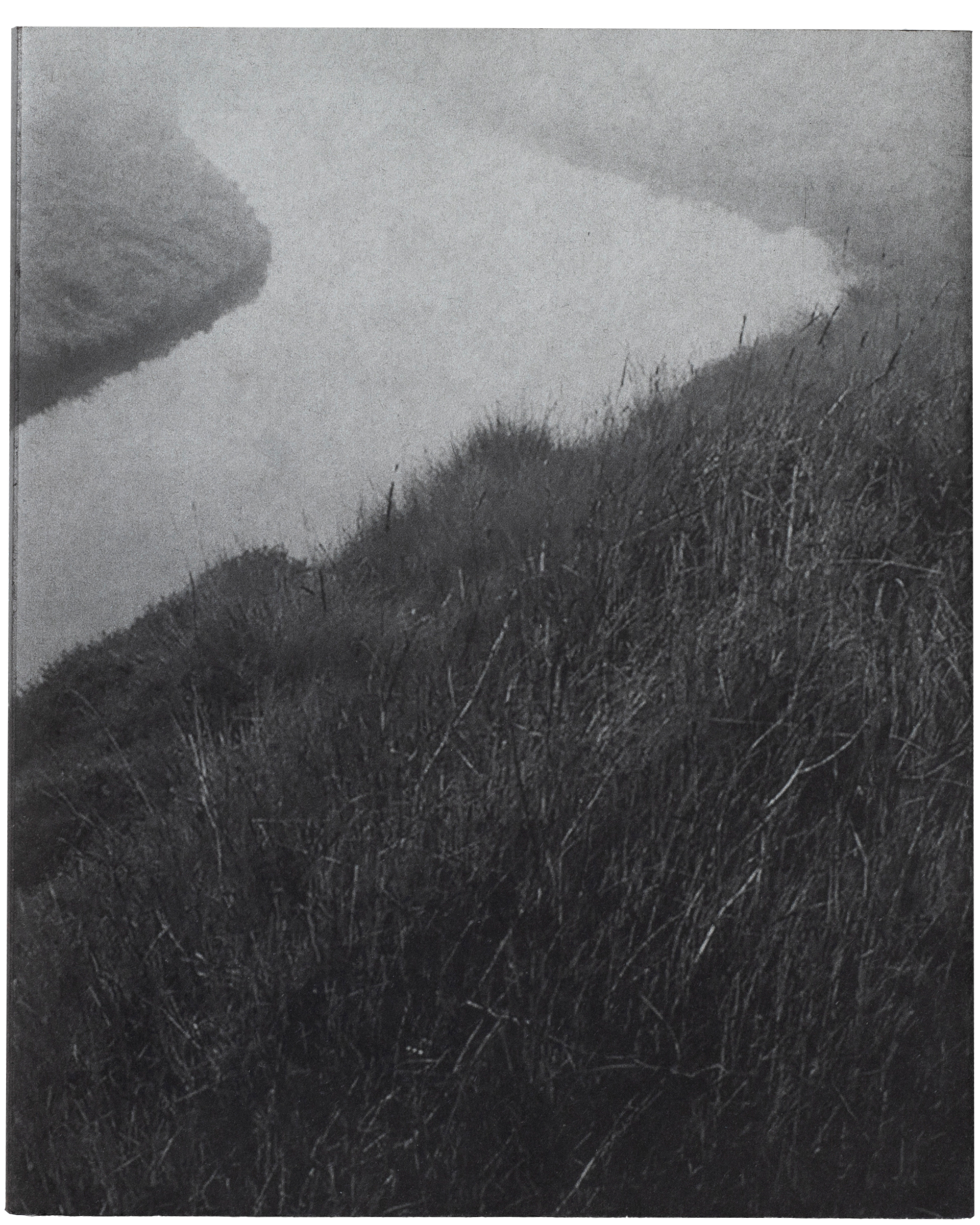 This Land by Martin Amis