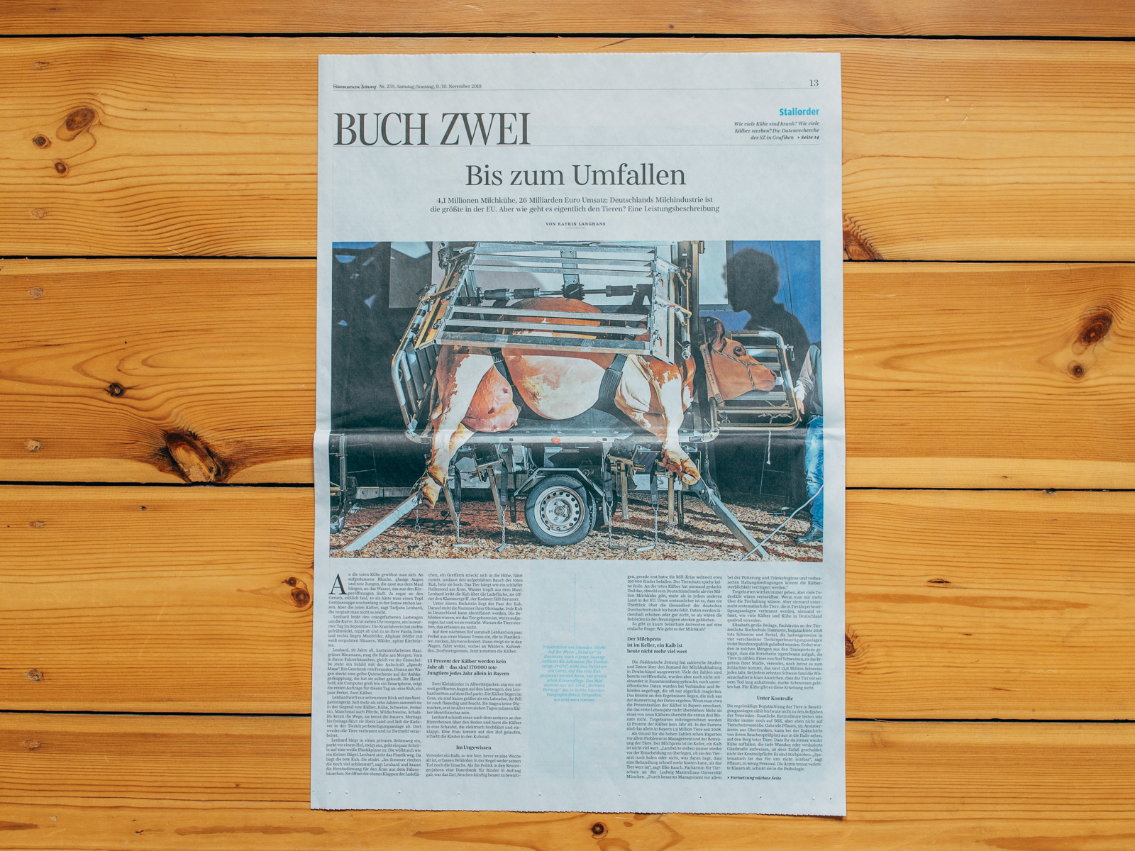 S&uuml;ddeutsche Zeitung / Hornless Heritage / November 2019