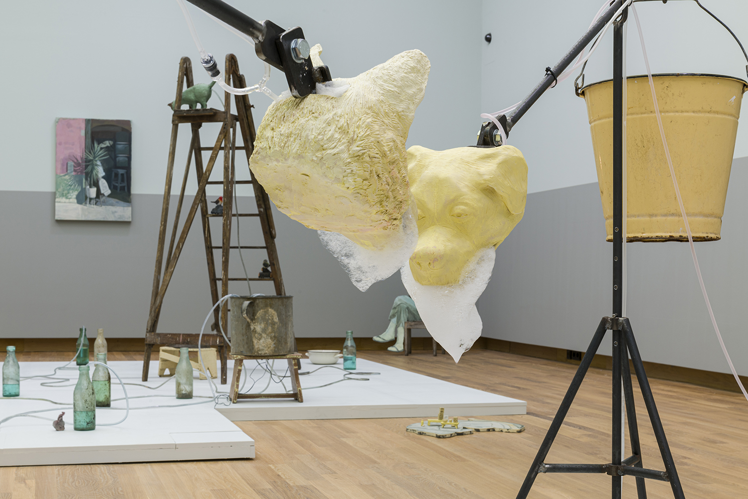 Exhibition documentation: Drylands, Arturo Kameya, Dordrechts Museum, Dordrecht