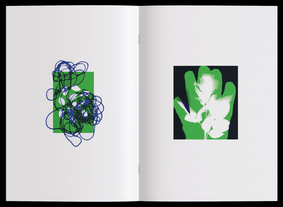 Claudia Agusto and Beatrice Savoldelli, Orto cucito. Un giardino a Milano (Herbaria), 2022