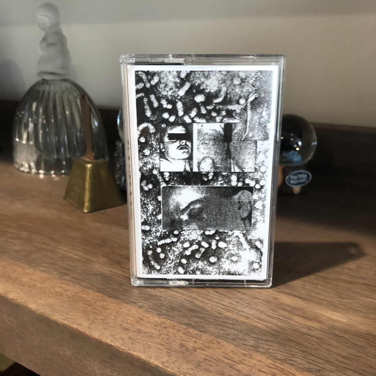 [ANGST] Bacillus Quarantined