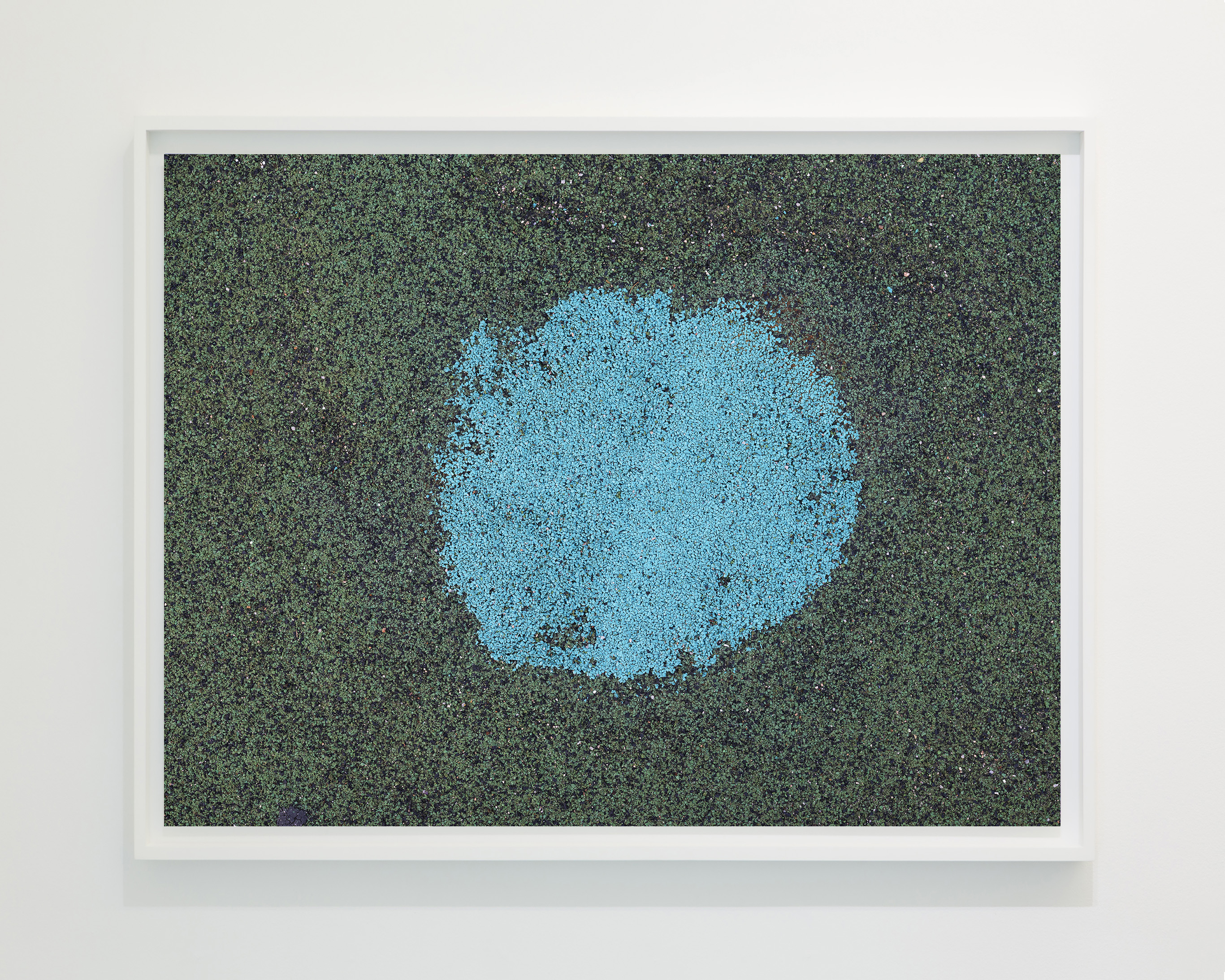 FG#4693, Digital pigment print 116Cm x 150Cm, ed 10