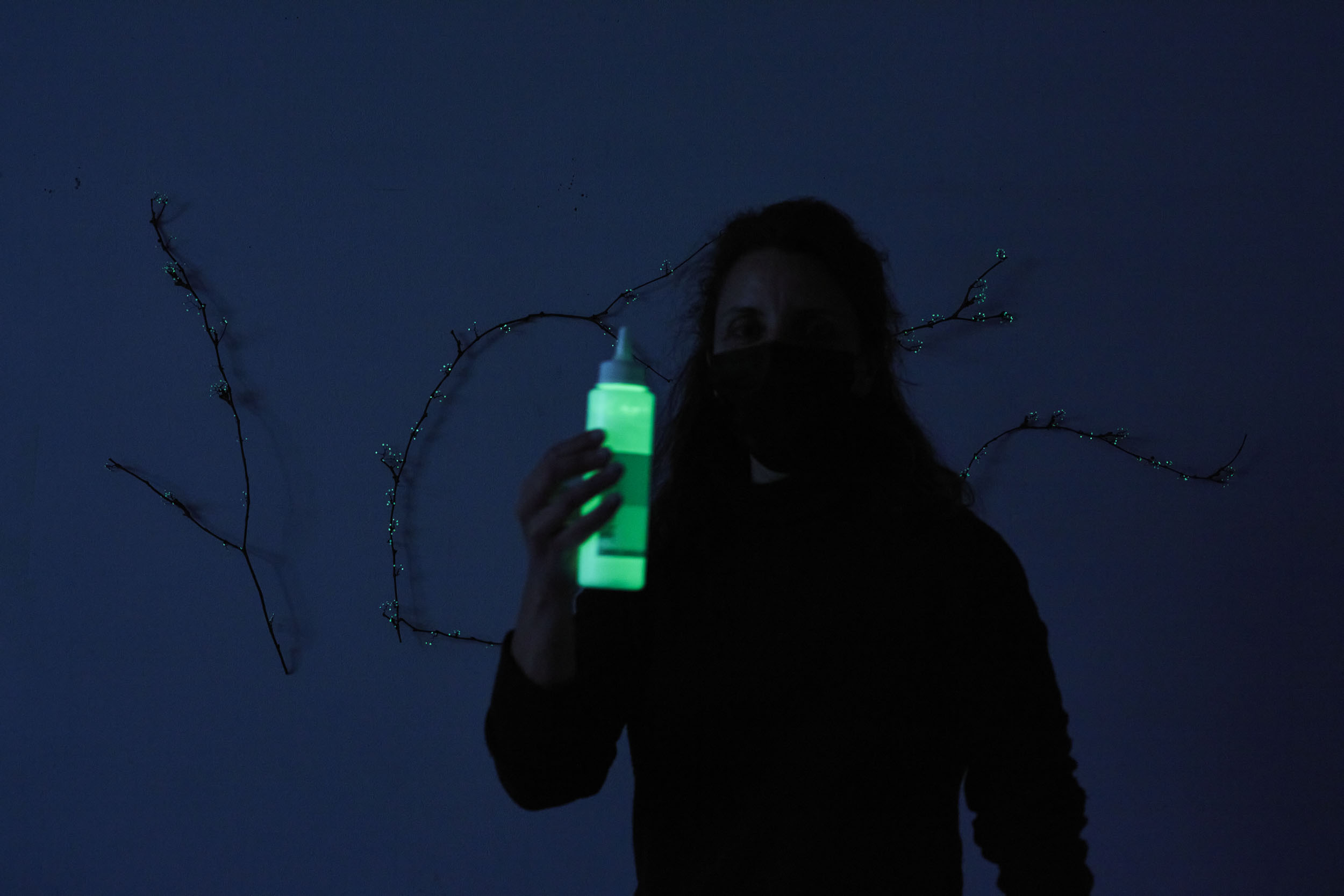 Attrape coeurs, 2021Branches d’ampelopsis, peinture phosphorescente, dimension variable. Vue d’exposition "Bee and Bobby Mac Leaf", galerie LIUSA WANG