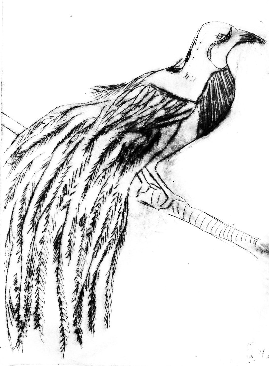 Pause,gravure pointe sèche, 15x11 cm
