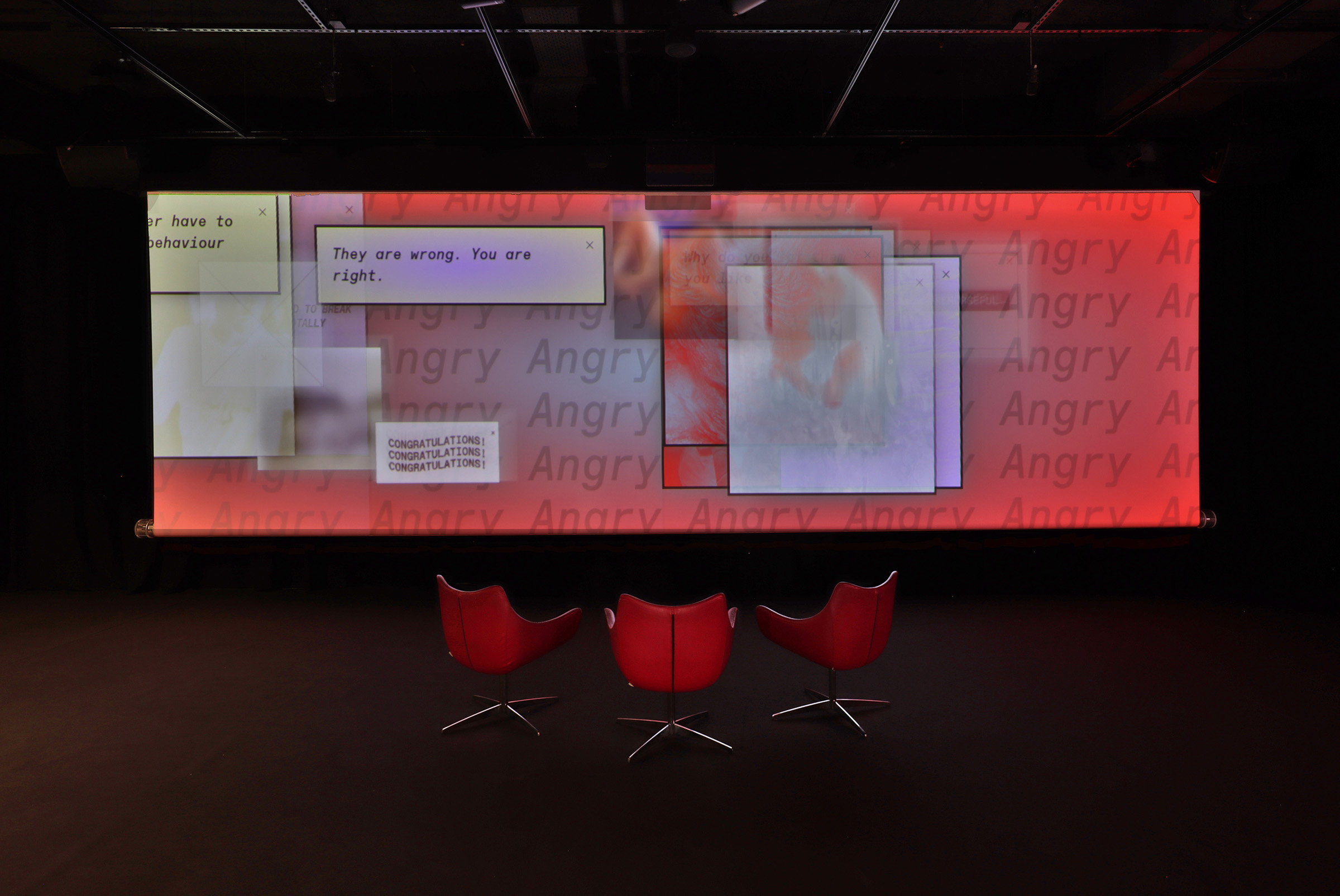 widescreen projection with overlapping windows and text they are wrong you are right, angry angry angry, conggratulations