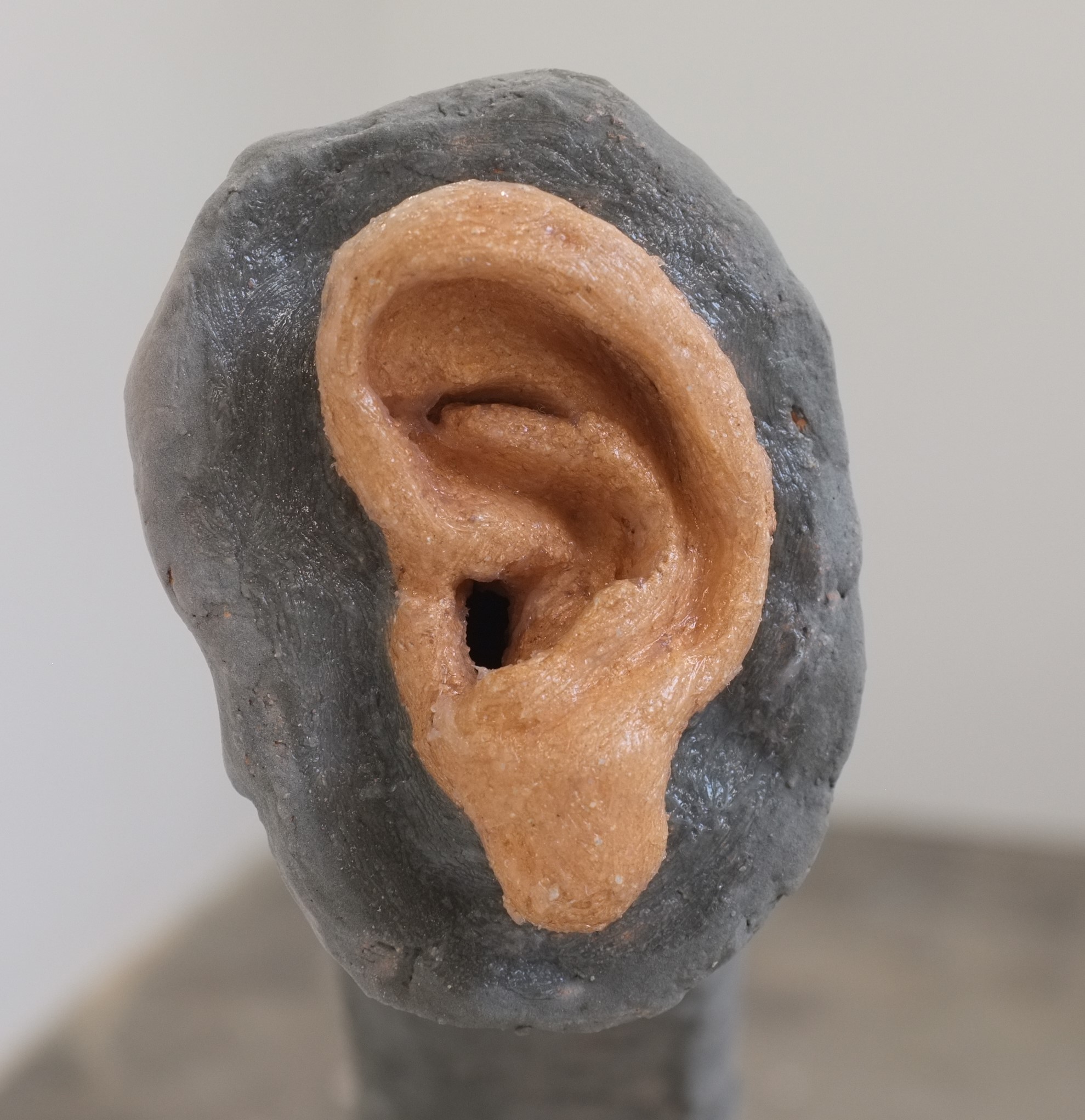 The Orifice of Interspecies Communication