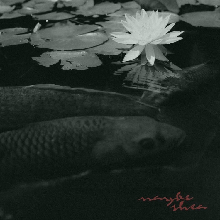 Present / Maybe Shea