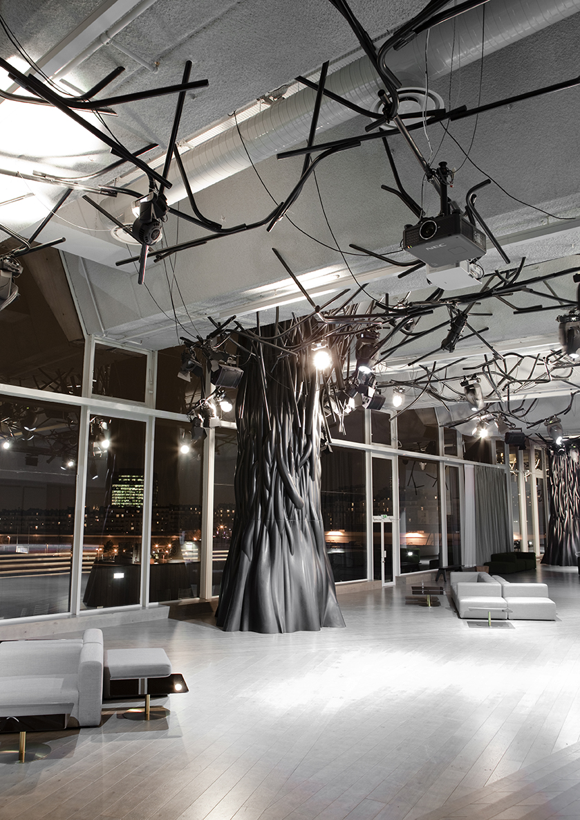 PHOTOGRAPHY RAF STUDIO OF ELECTRIC OF MATHIEU LEHANNEUR