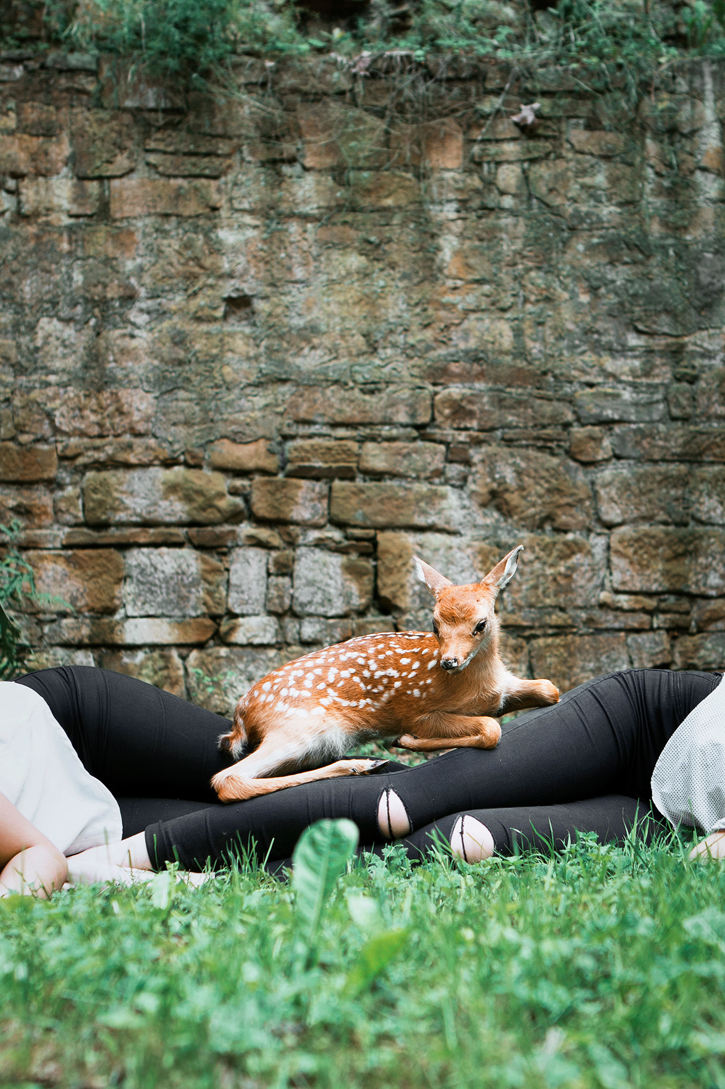 Anblick - Innenblick (Stella & Lisa), inkjet print mounted on Dibond panel, 47" x 32" (80 x 120 cm), 2017