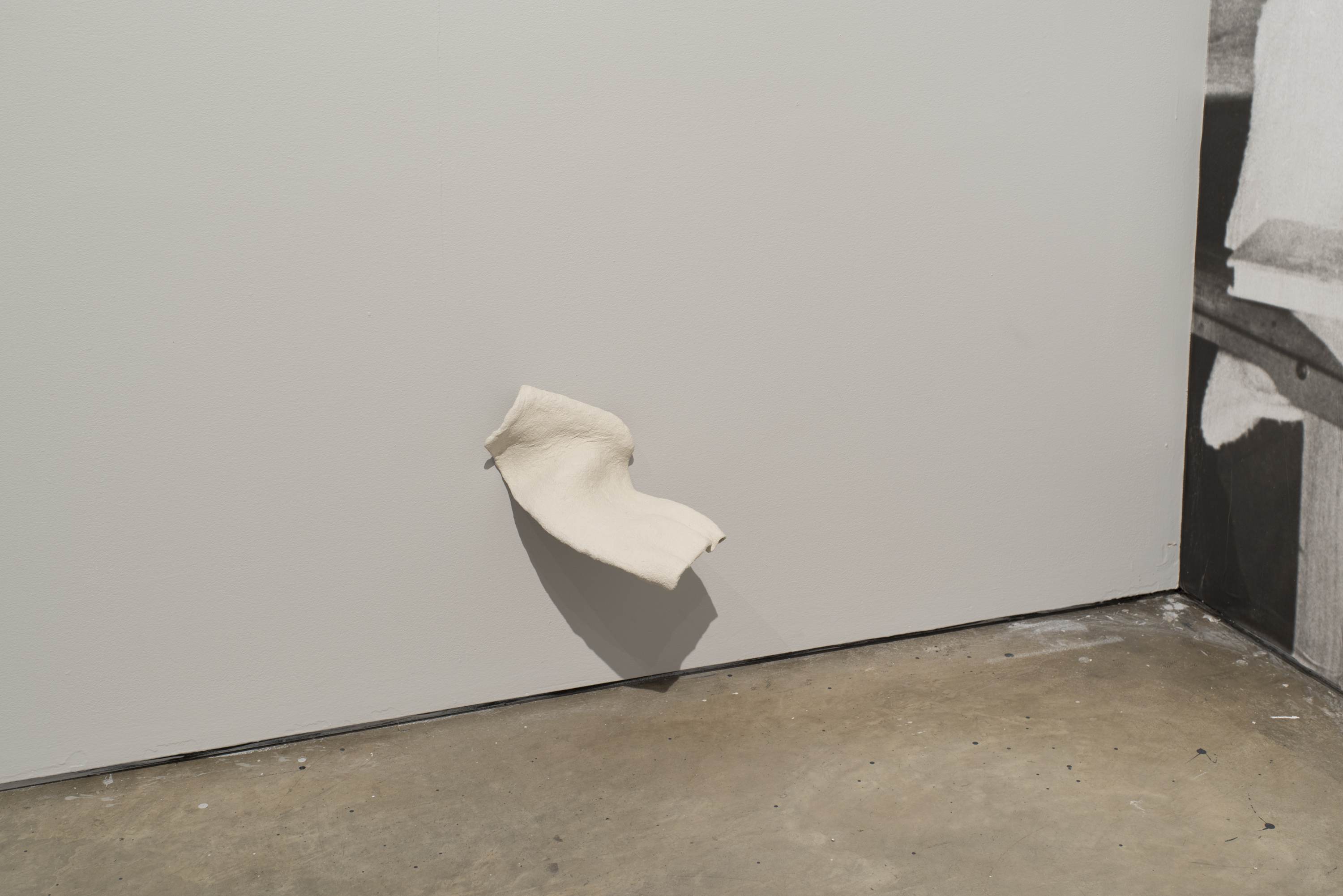 "Flights", [detail]. Courtesy Susanna Jablonski.