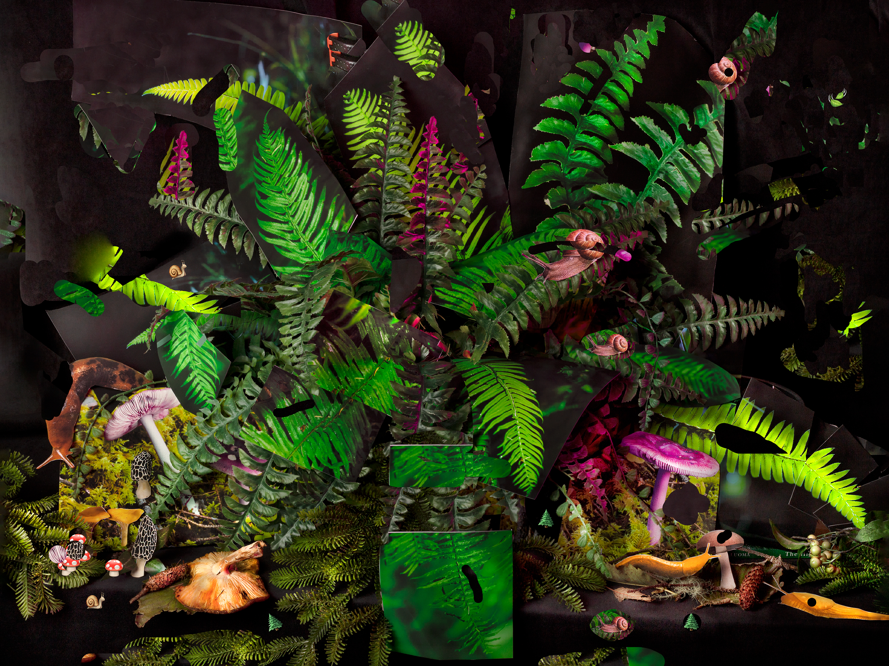 Beneath an ordinary glance dwells an explosive, 2022, archival pigment print, 30”x40” and 15”x20”