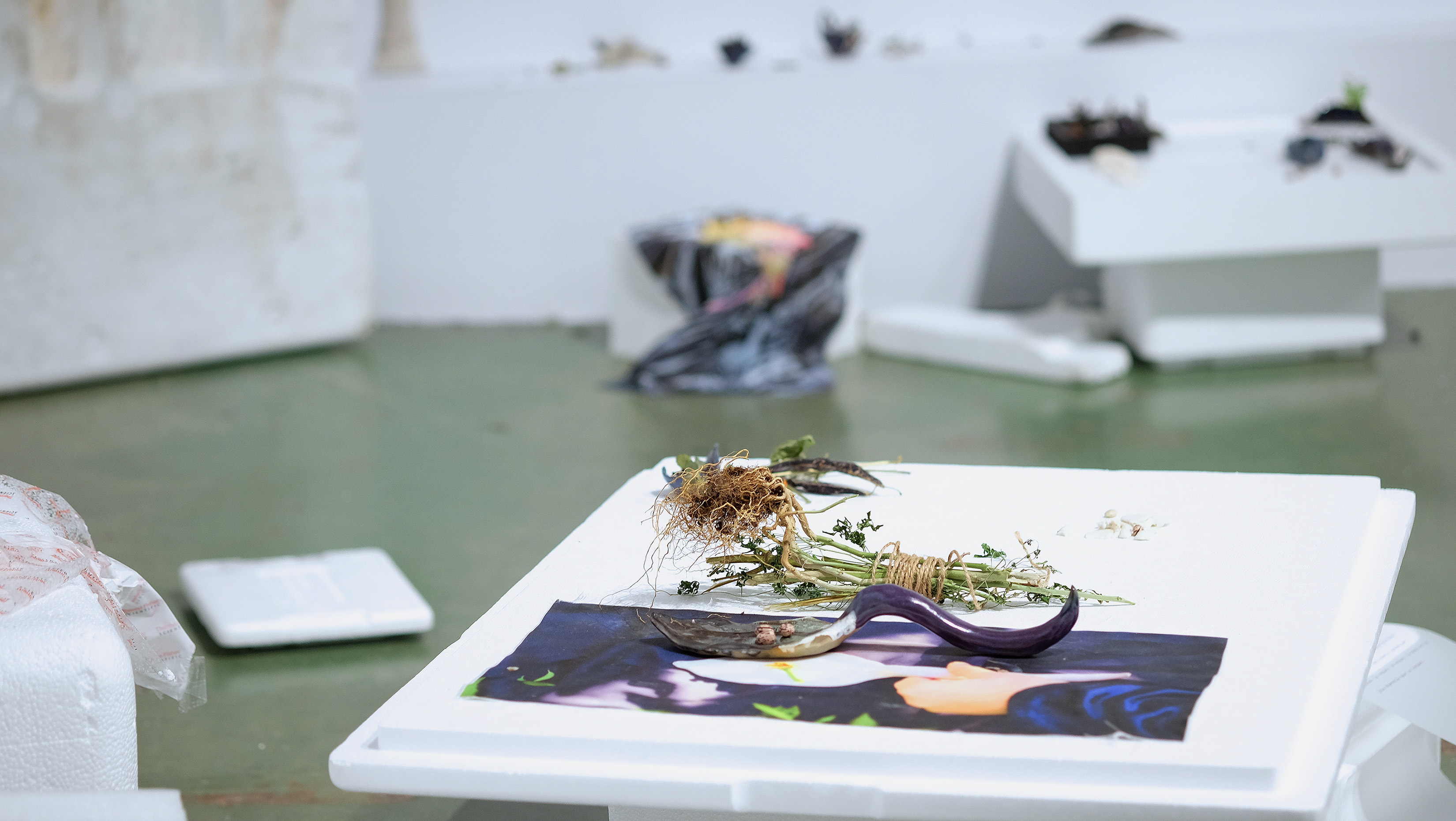 Jardin Entrée 1 : les chimères anthropiques, vue d’installation, 2022