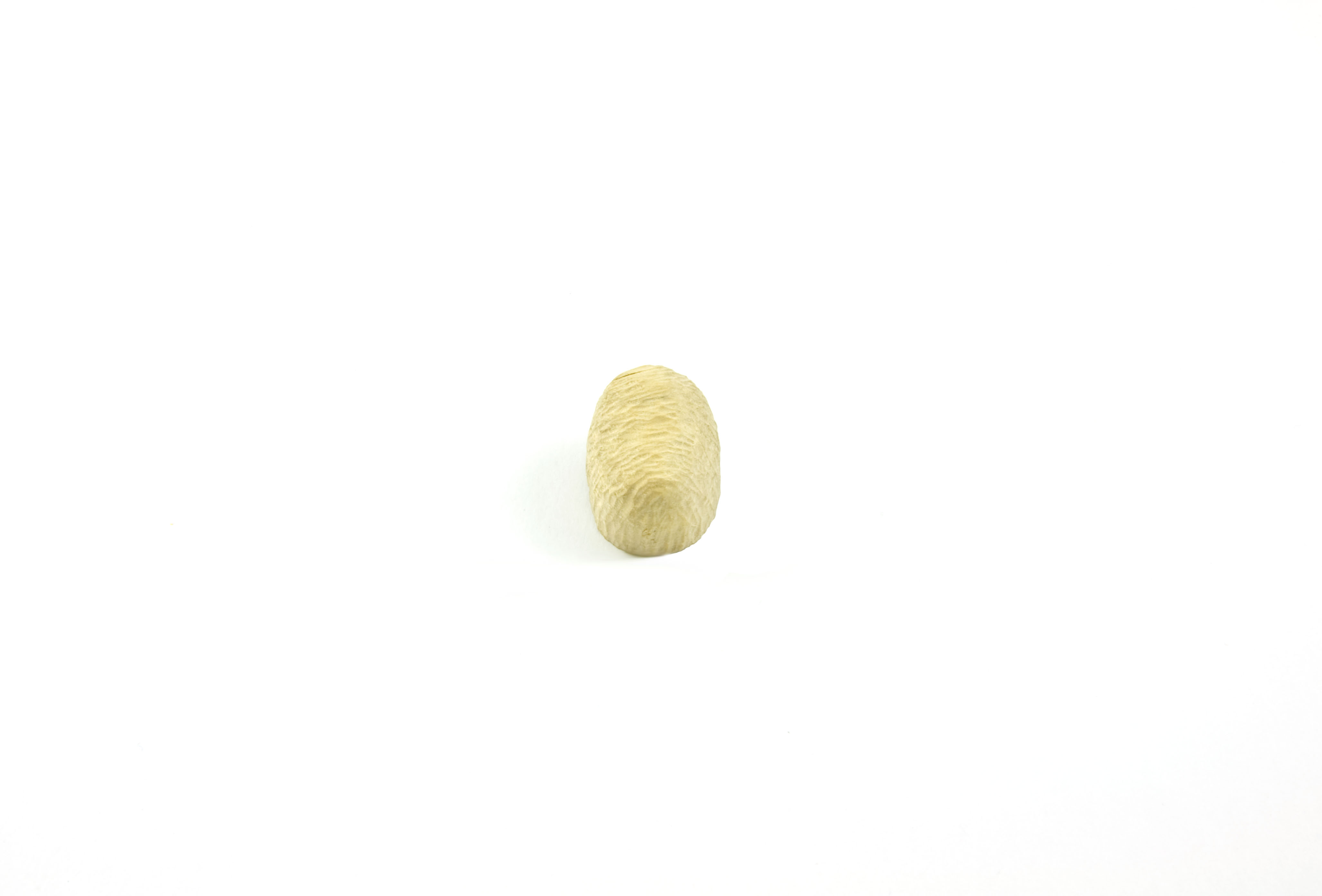 . . , - | 2020 | brooch | birch wood, remanium, silver