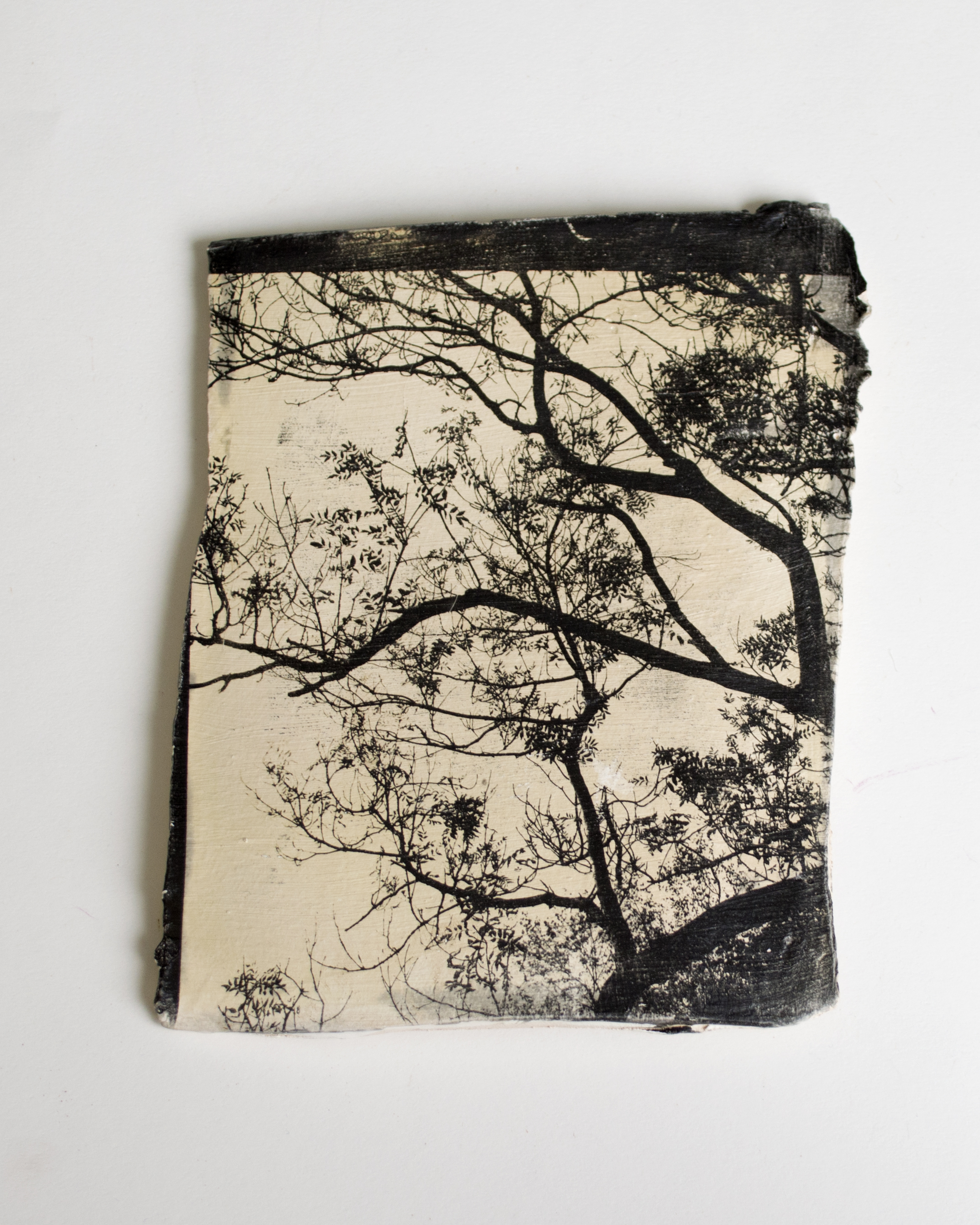 ceramic tile, liquid emulsion, Ashford School Residency, 2016