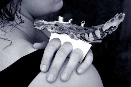 Cindy B. Photography  