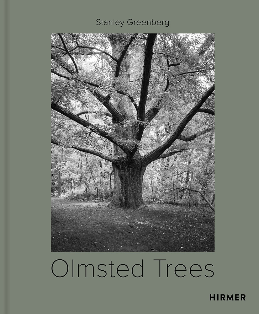 Olmsted Trees by Stanley Greenberg