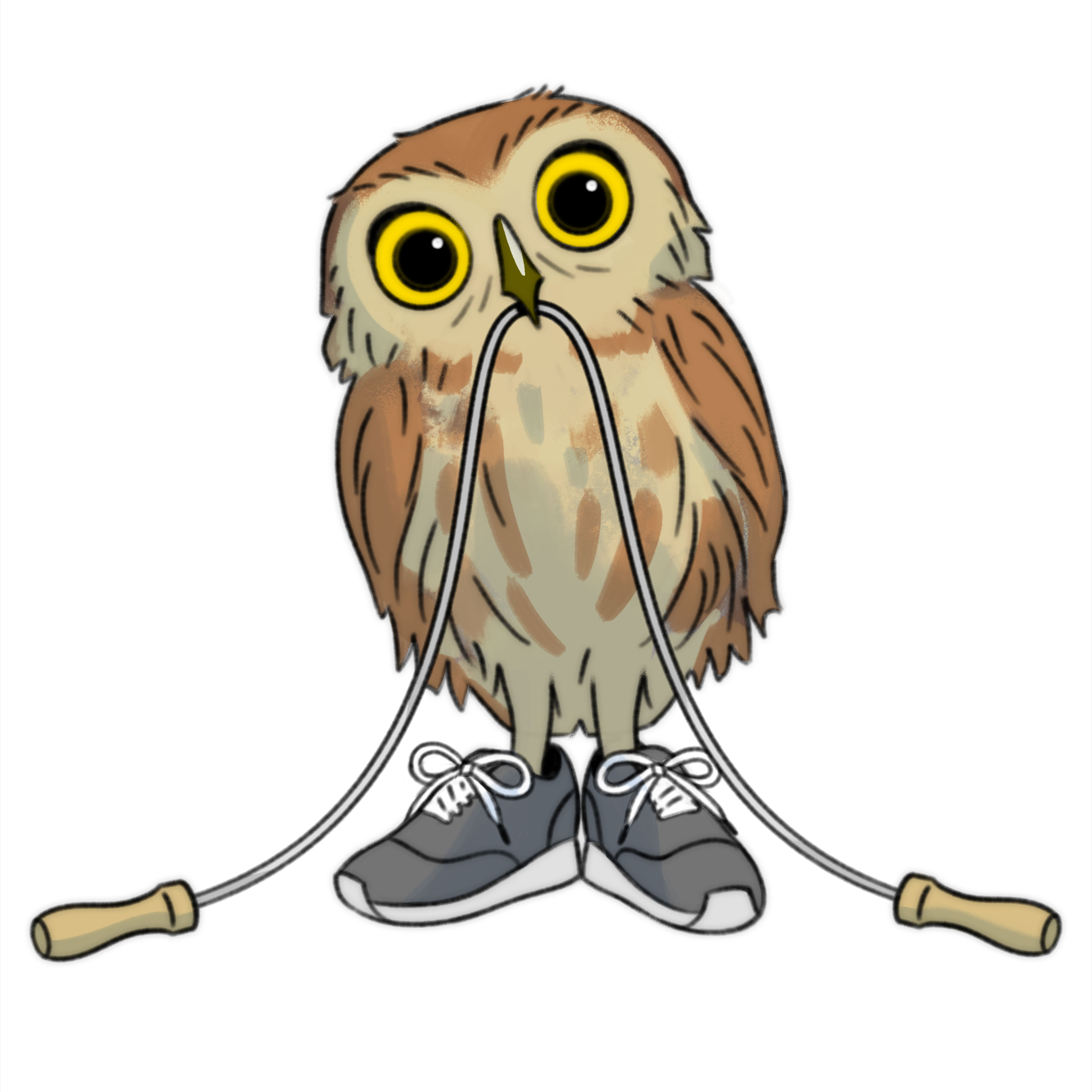 Logo for Owlskip