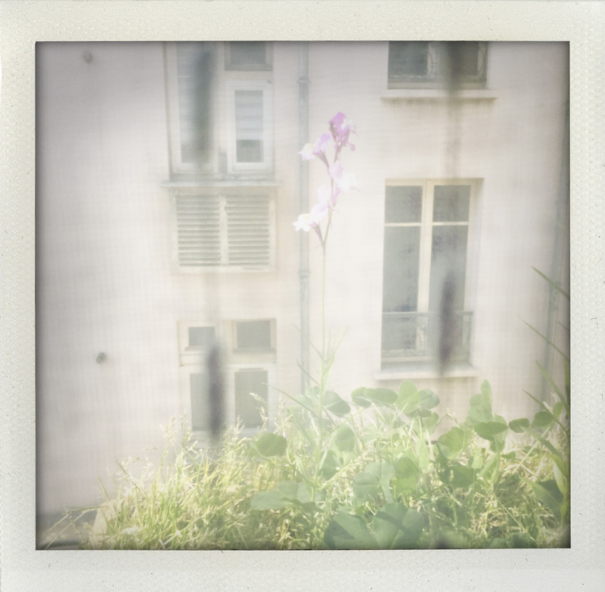 28 Mars 2020 Printemps