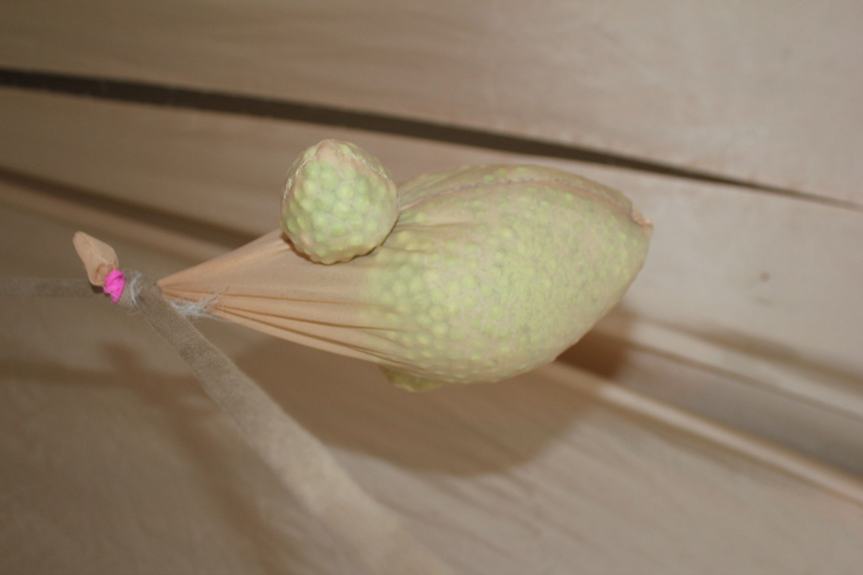 soft sculptures and scenography, Photography by mhkn