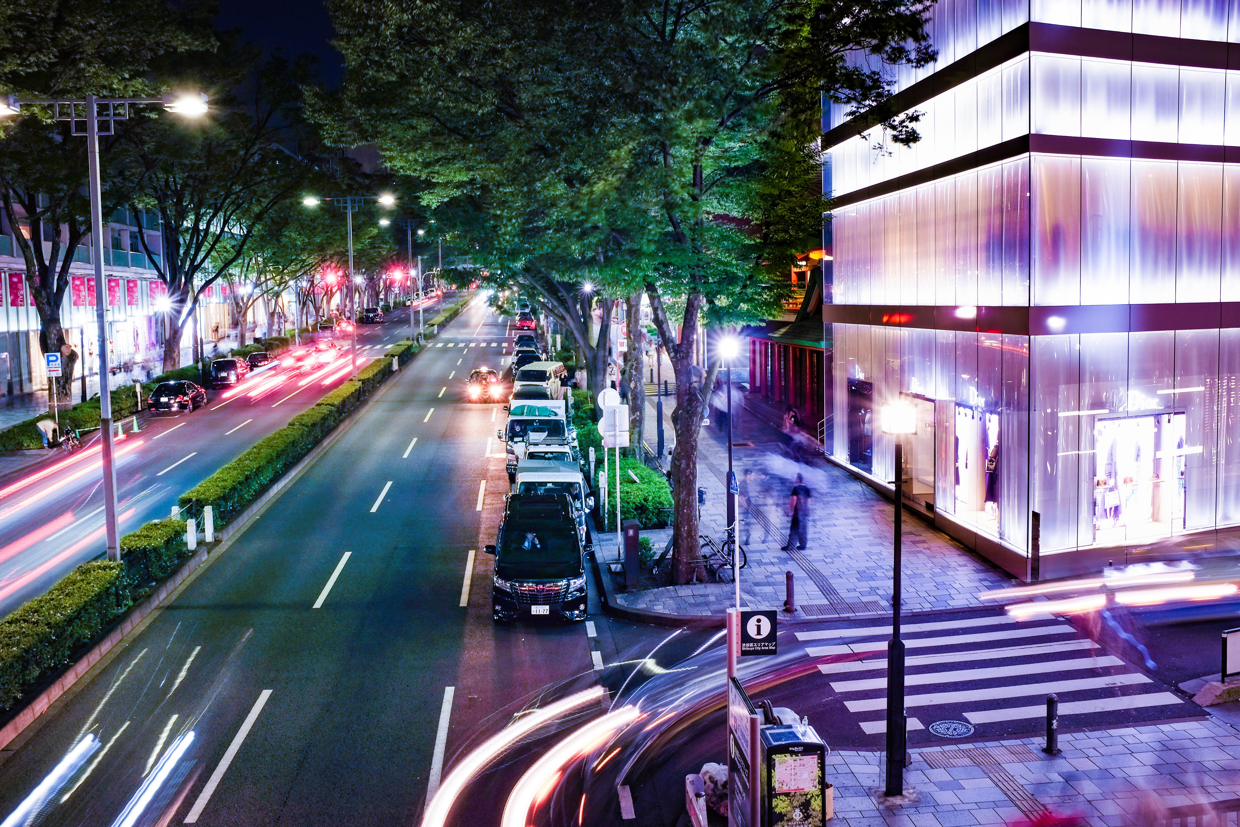 Omotesando Avenue at night