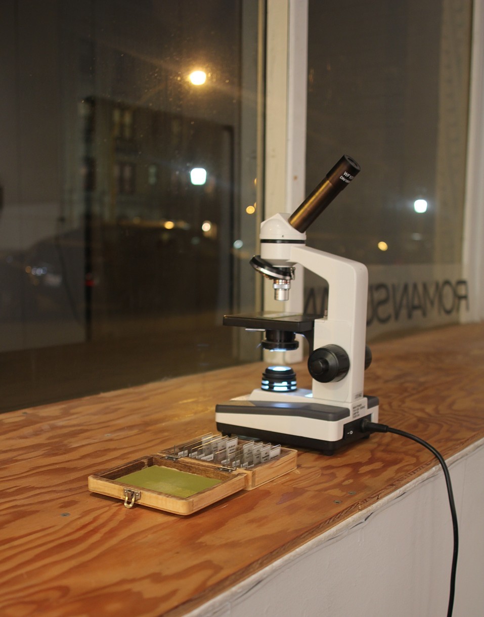 Aberrations – Microscope, slides, 2014