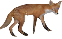 Filthy Fox Logo