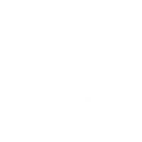 Skechers Pier to Pier