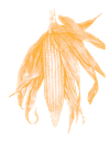 A-03