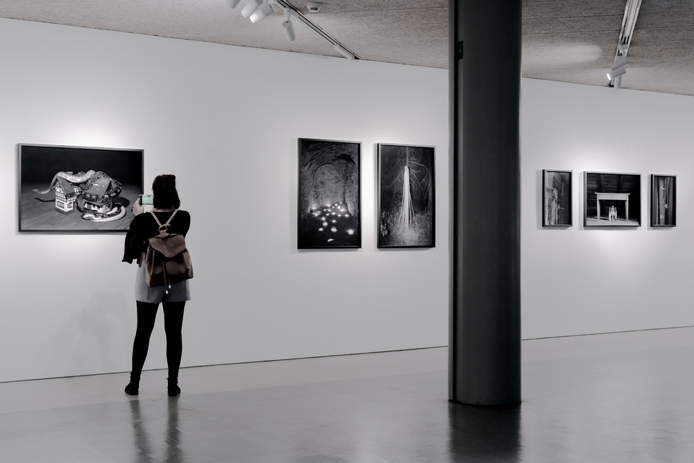 Plexus. Galleria Civica Cavour, Photo Open Up, Padova, 2020. Curated by Silvia Camporesi.