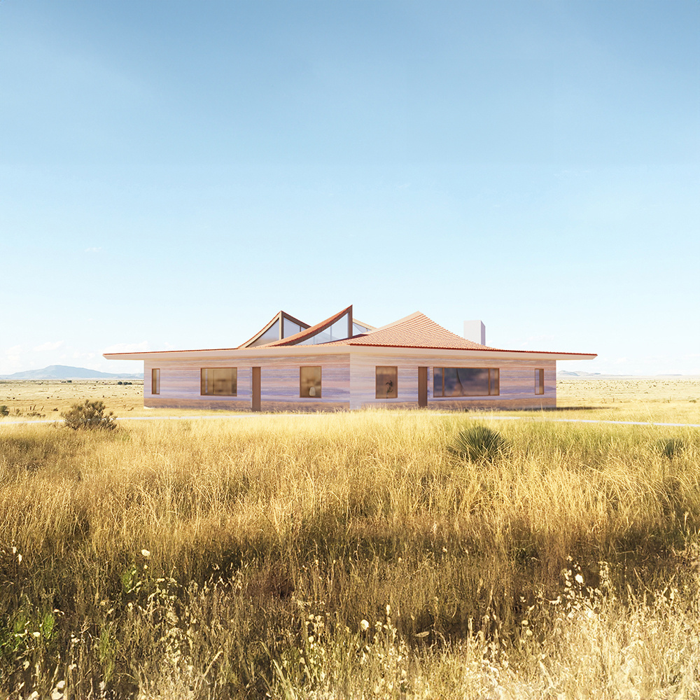 Flying Eaves House &mdash; Serweta Peck