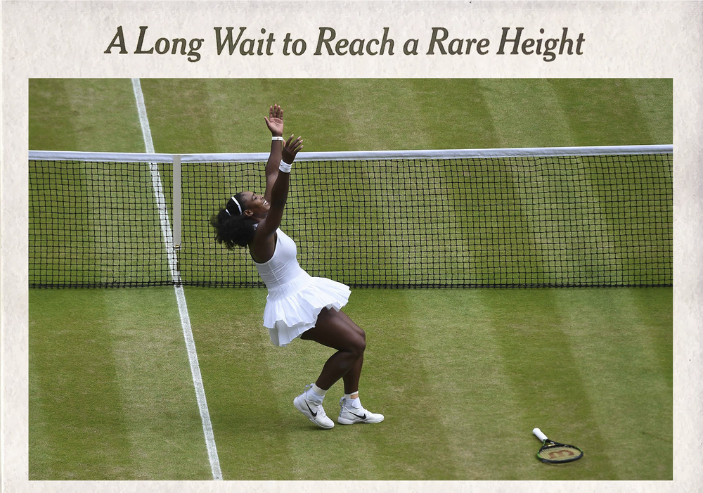 Serena Williams by Andy Rain