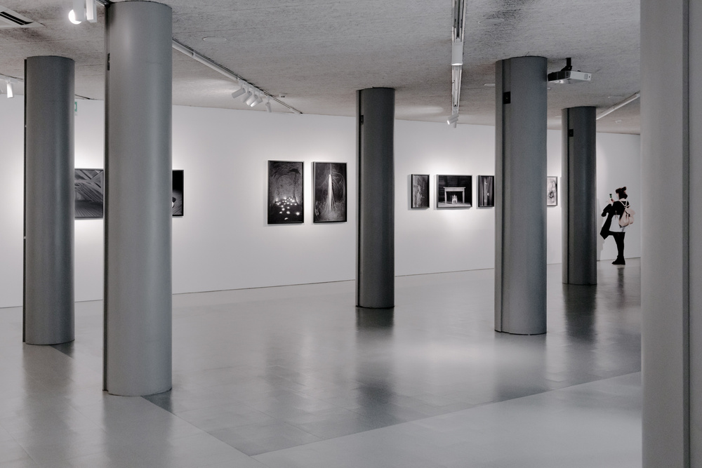 Plexus. Galleria Civica Cavour, Photo Open Up, Padova, 2020. Curated by Silvia Camporesi.