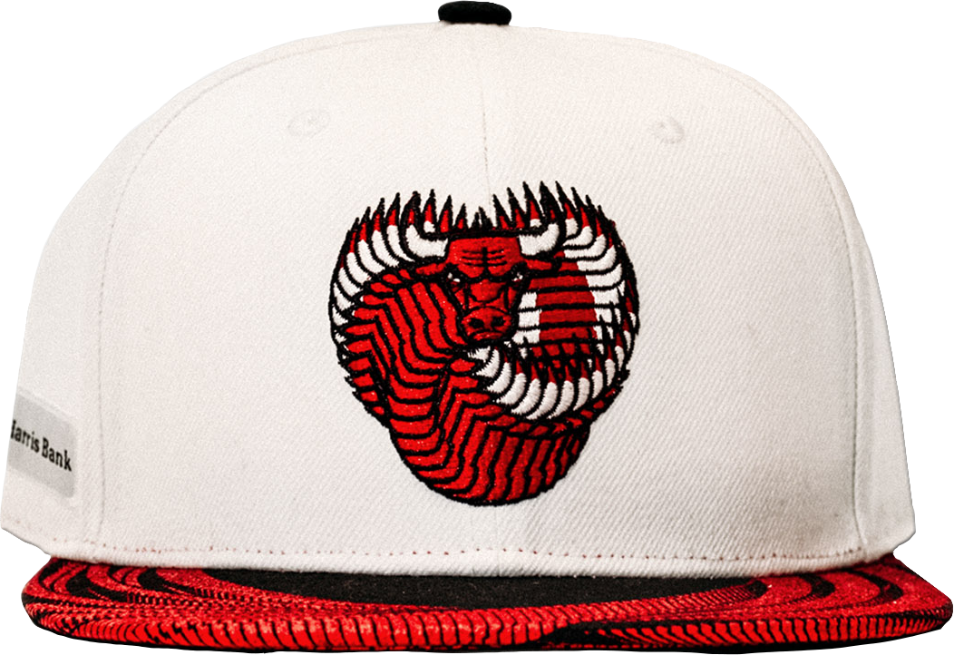 Chicago bulls artist hat 2024 series