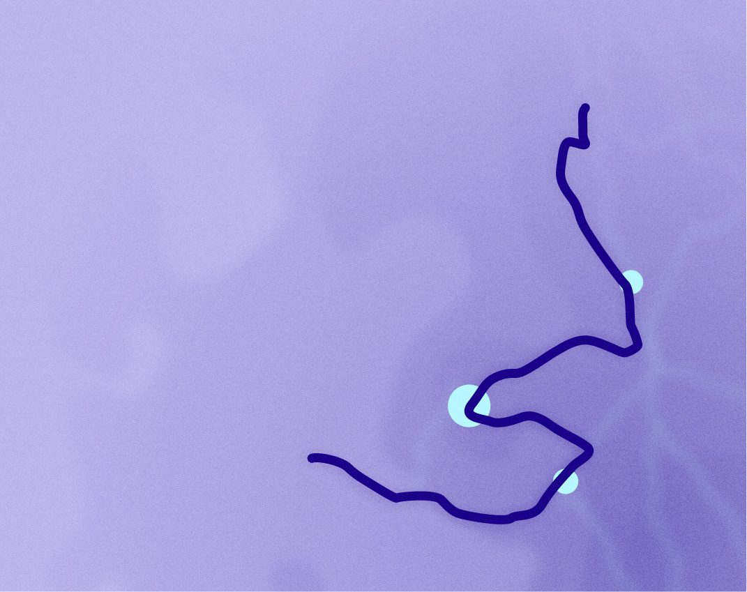 TRAILS ENTANGLED — ENJ DESIGN