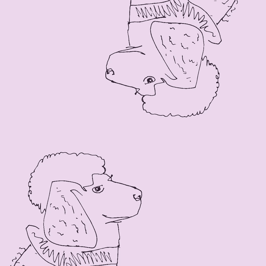 Dog on Ice Animation