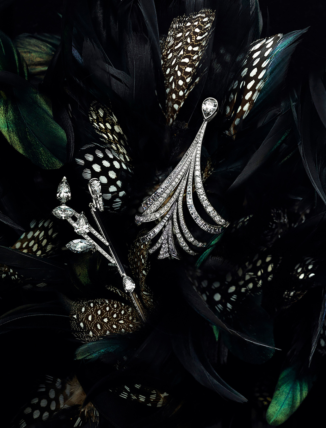 KMA photographer Isabelle Bonjean shoots diamond earrings laying on a bed of feathers for Ritz Magazine