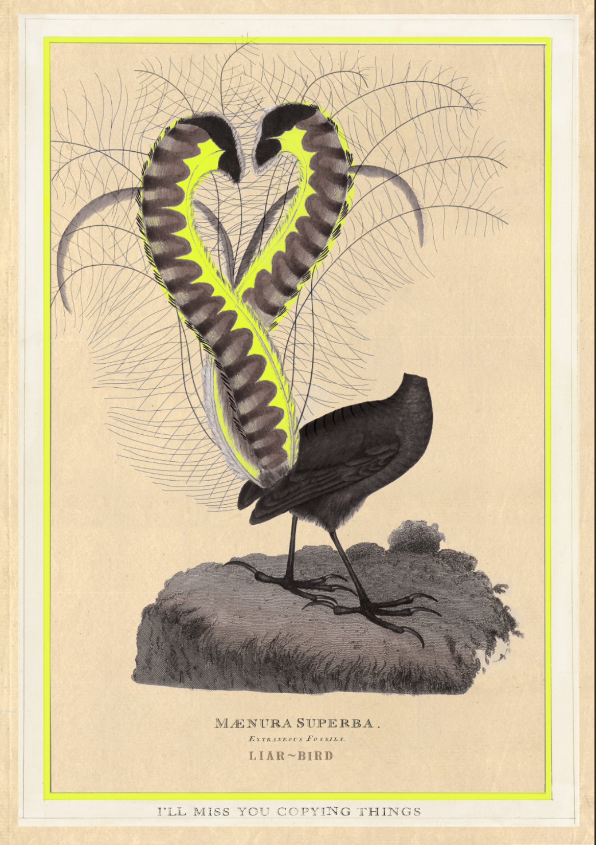 Headless Birds 2018 Warnings for the future — Joan Ross