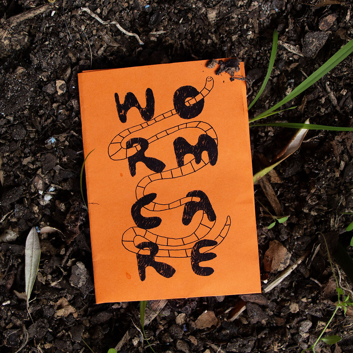 Worm Care — Emily Simek