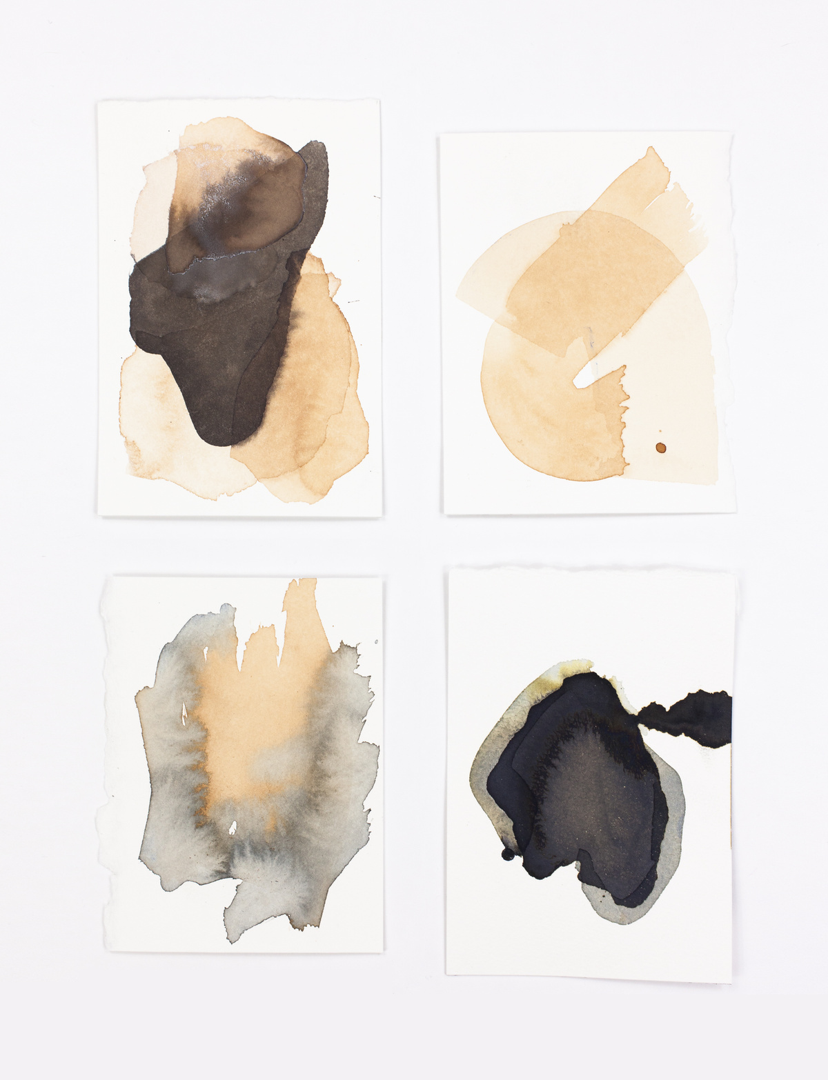 The Shape Of Color