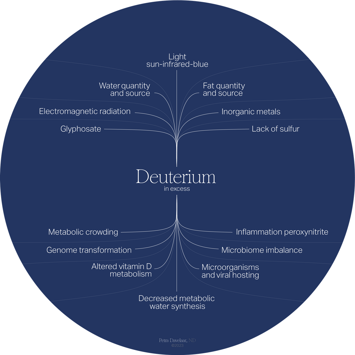Deuterium in Excess — Dr. Petra