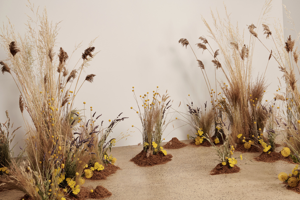 Kathmandu — Alchemy Orange