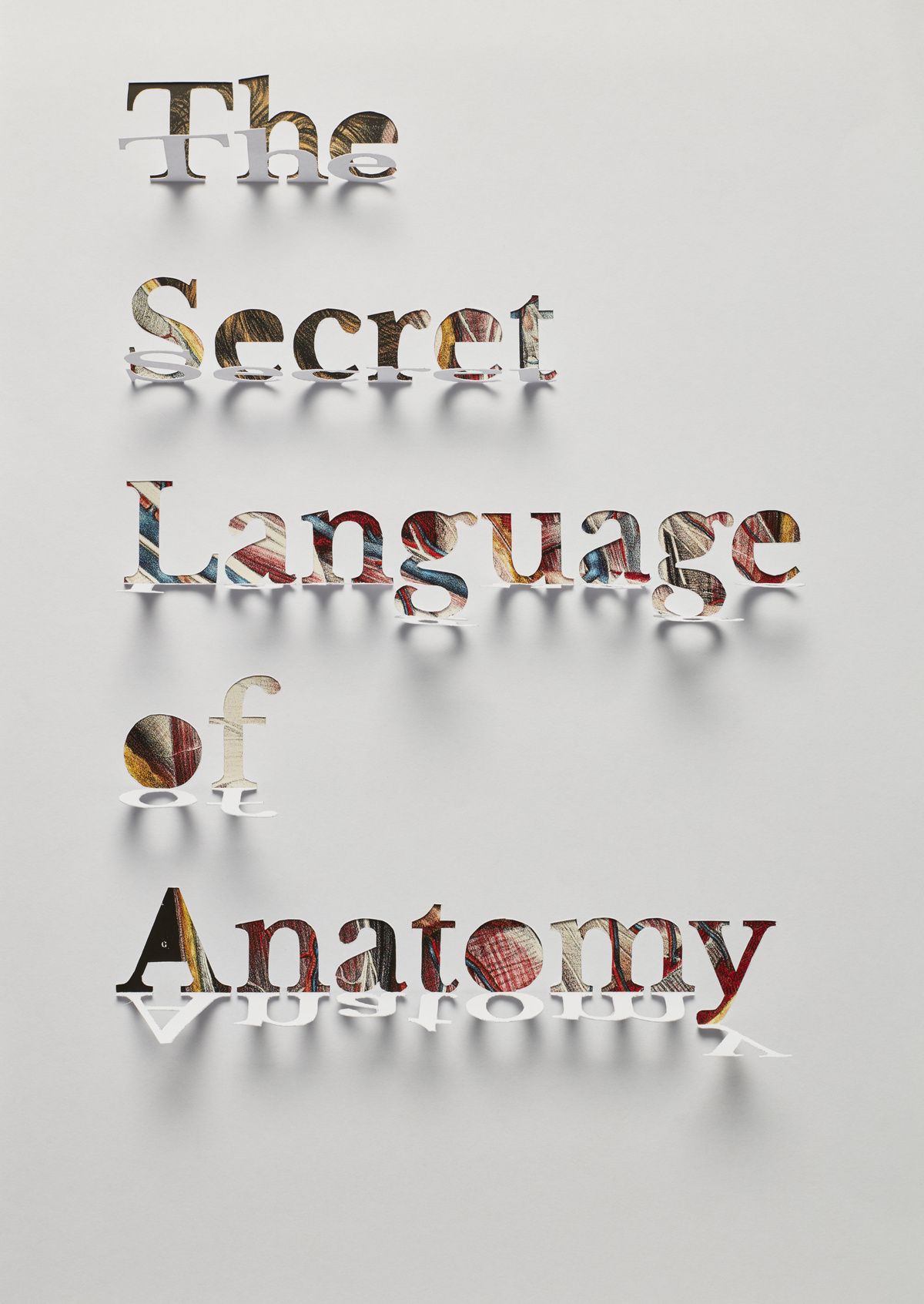 Secret languages. Сесилия Эванс. Secret language.