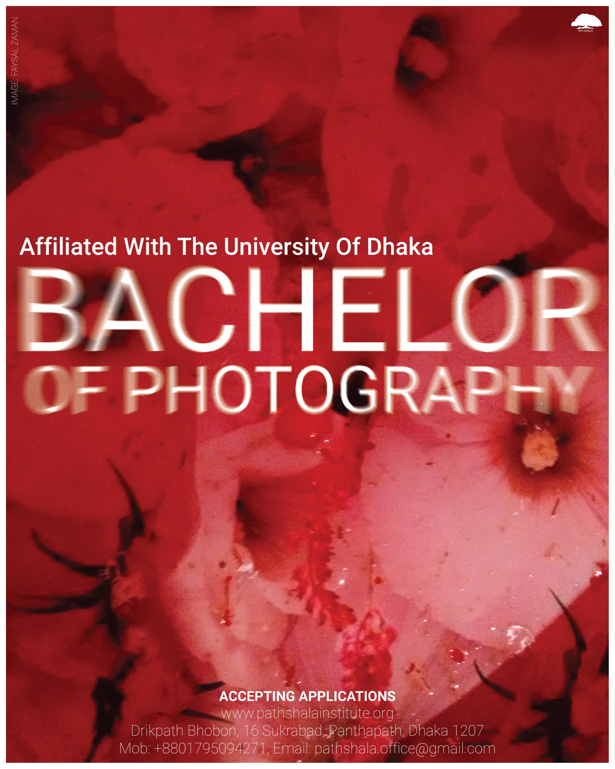 accepting-applications-bachelor-of-photography-pathshala