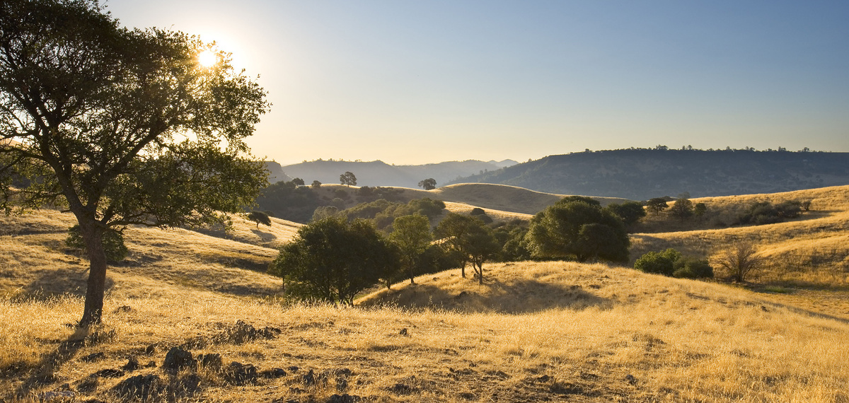 Tuscany Hills: An Ecological Approach to Residential Development — PLAT ...