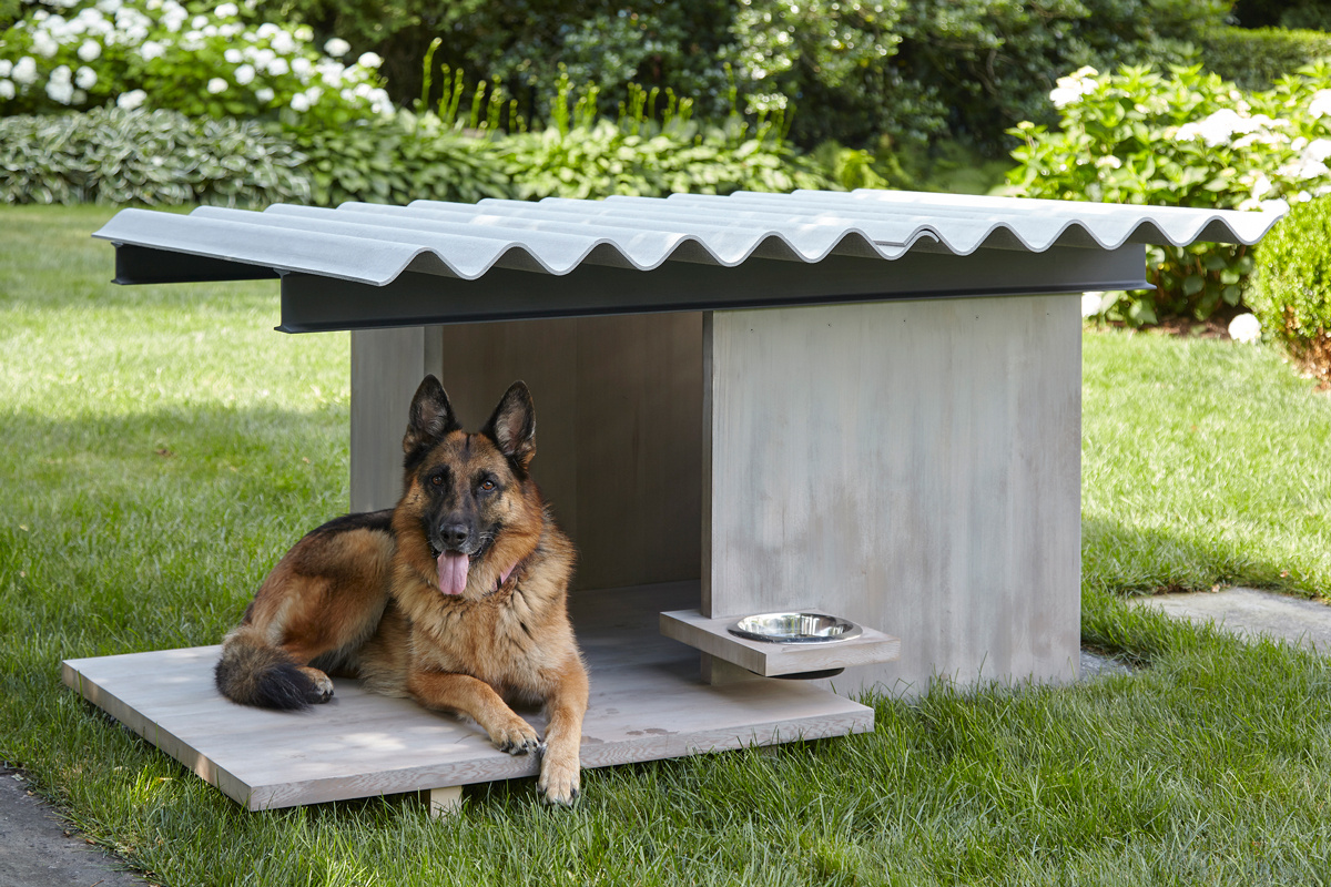 BOW WOW HAUS Robert Young Architects