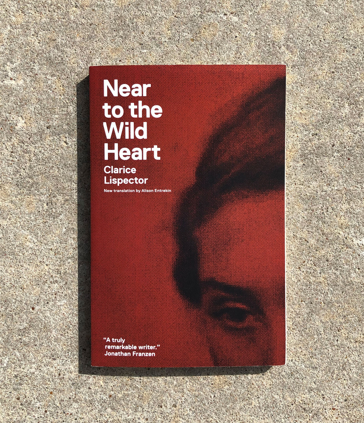 Near to the Wild Heart by Clarice Lispector