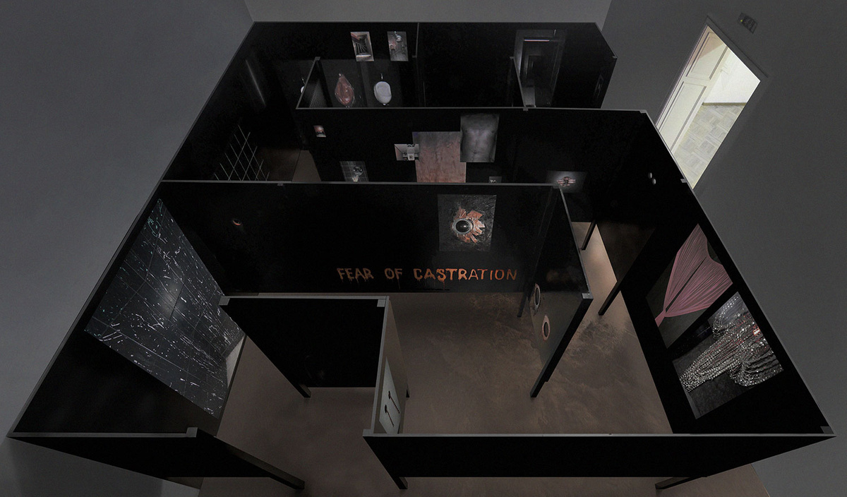 Total installation: Fear of Castration / Darkroom-Labyrinth - Sergey  Shabohin